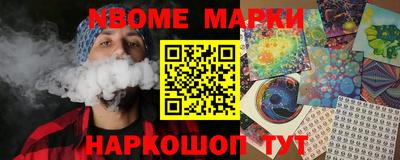 индика Сланцы