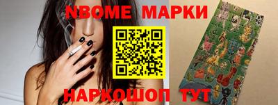 индика Сланцы