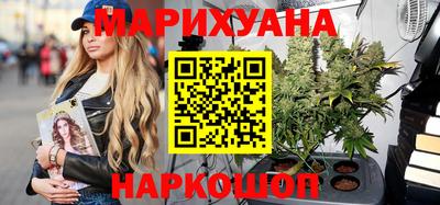 индика Сланцы