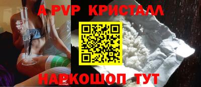 индика Сланцы