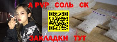 индика Сланцы
