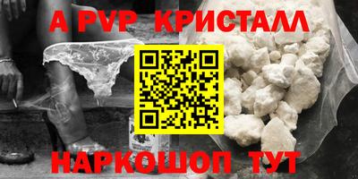 индика Сланцы